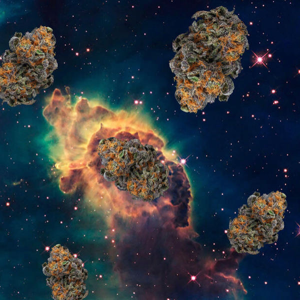наркотики в космос