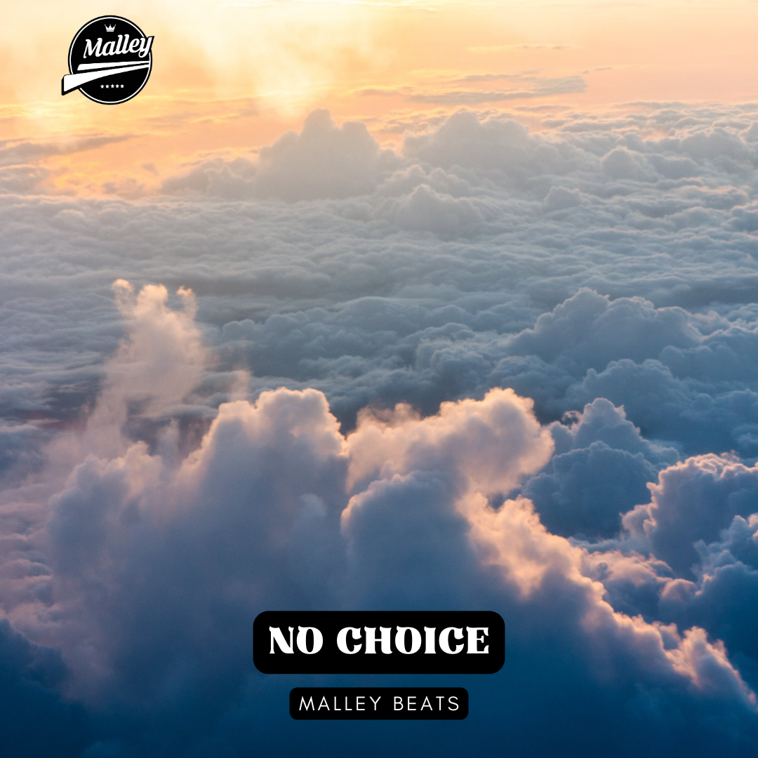 Created over NO CHOICE [COUNTRY ROCK RAP BEAT] by MalleyBeats