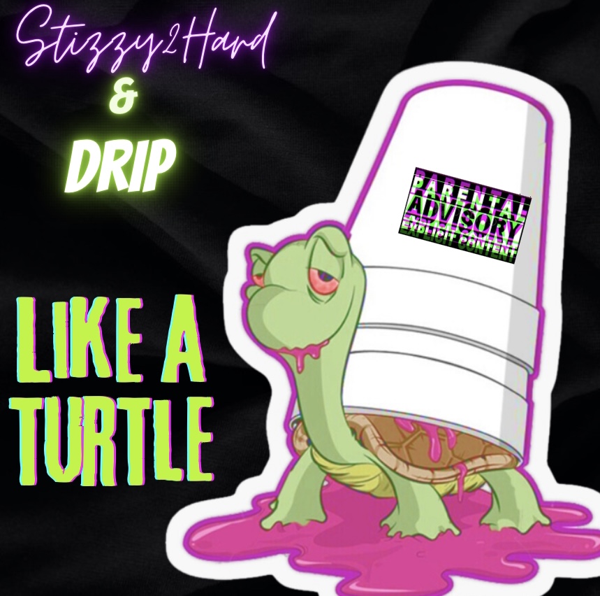 Created over LIKE A TURTLE - Drip x Stizzy by StizzyProductz