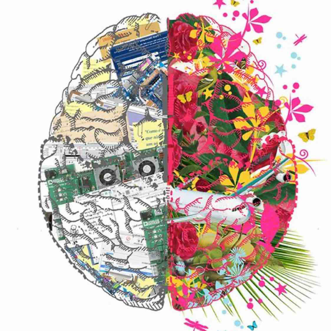 Творчество полушарие. Полушария мозга. Творческое полушарие мозга. Правое и левое полушарие мозга арт. Мозг полушария цветные.