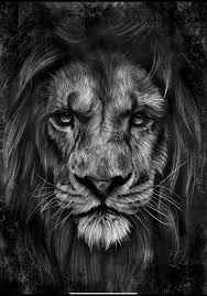 Created over Real Boston Richey - Help Me (instrumental) by Stevey_Black1992
